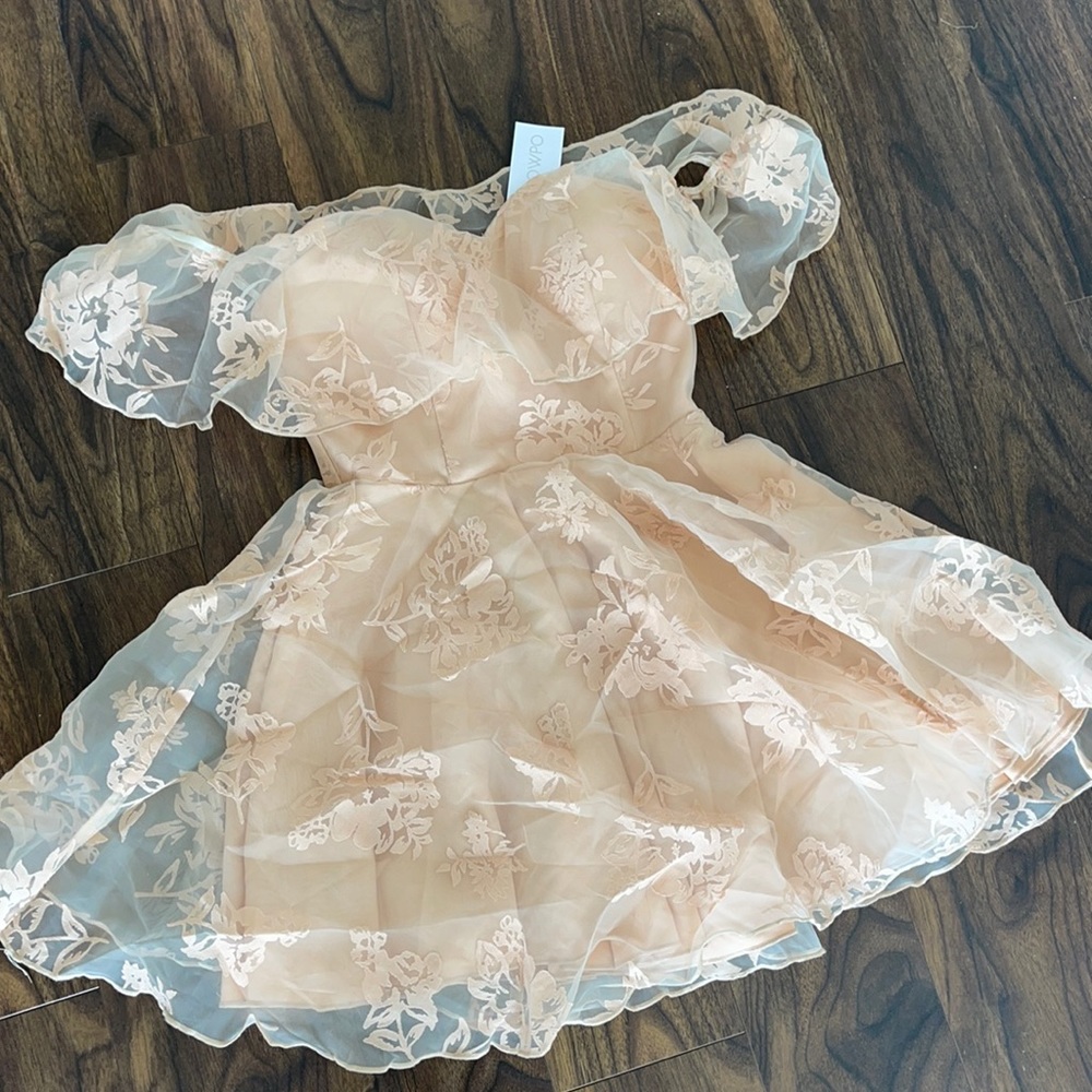Showpo NWT Dress